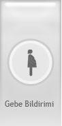 GebeBildirimi